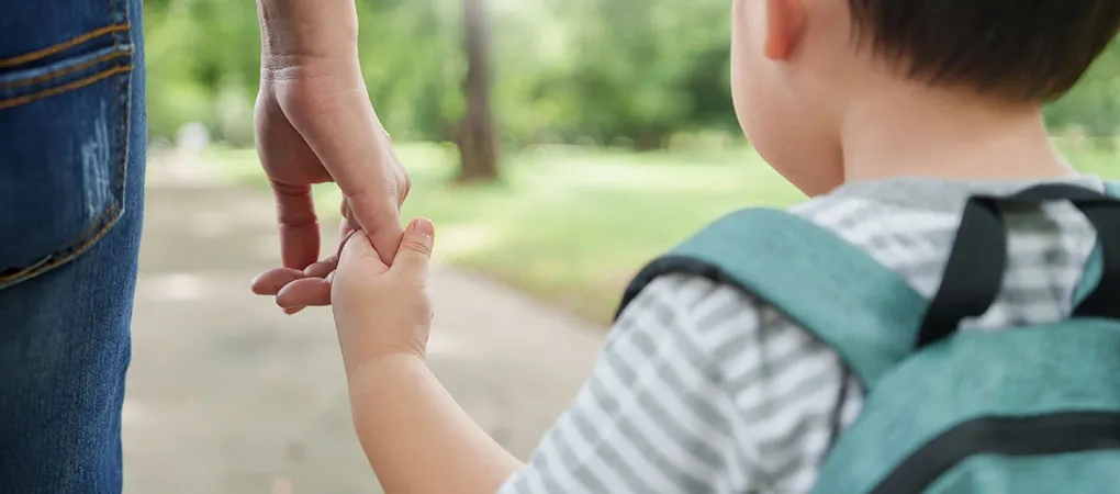 Gilmer County Family Lawyer | Ellijay Family Attorney-img