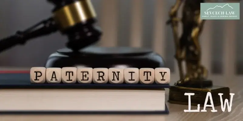 Ellijay Paternity Lawyer-img
