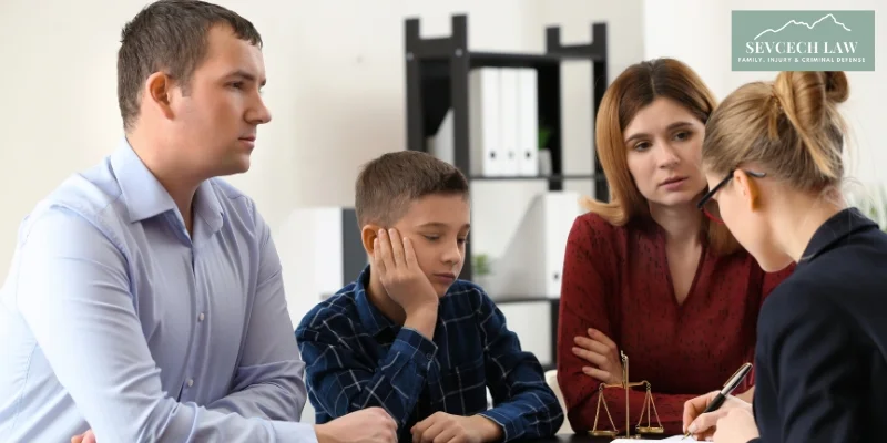 best ellijay spousal support lawyer