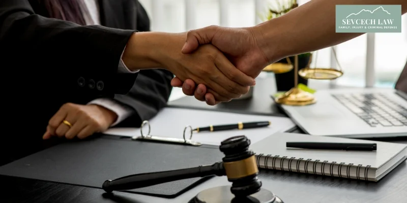 best ellijay fathers rights lawyer