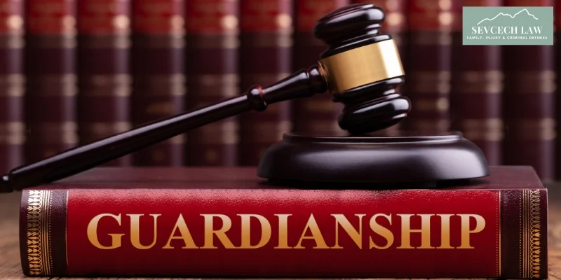best ellijay guardianship lawyer