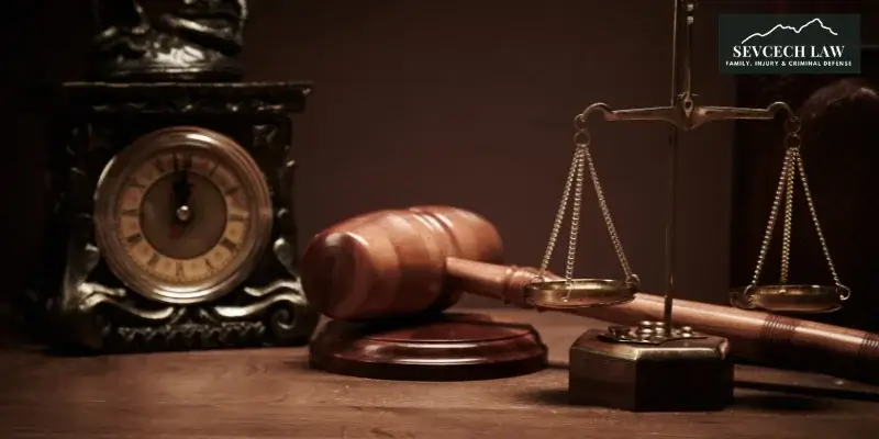 best ellijay legitimation lawyer best ellijay legitimation lawyer