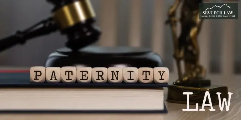 Ellijay Paternity Lawyer-img